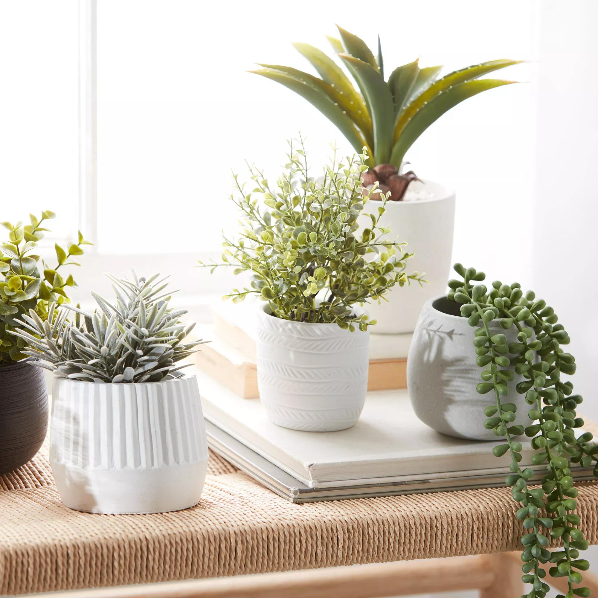 Waterfall Plant in Cement Pot