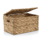 Water Hyacinth Storage Trunk