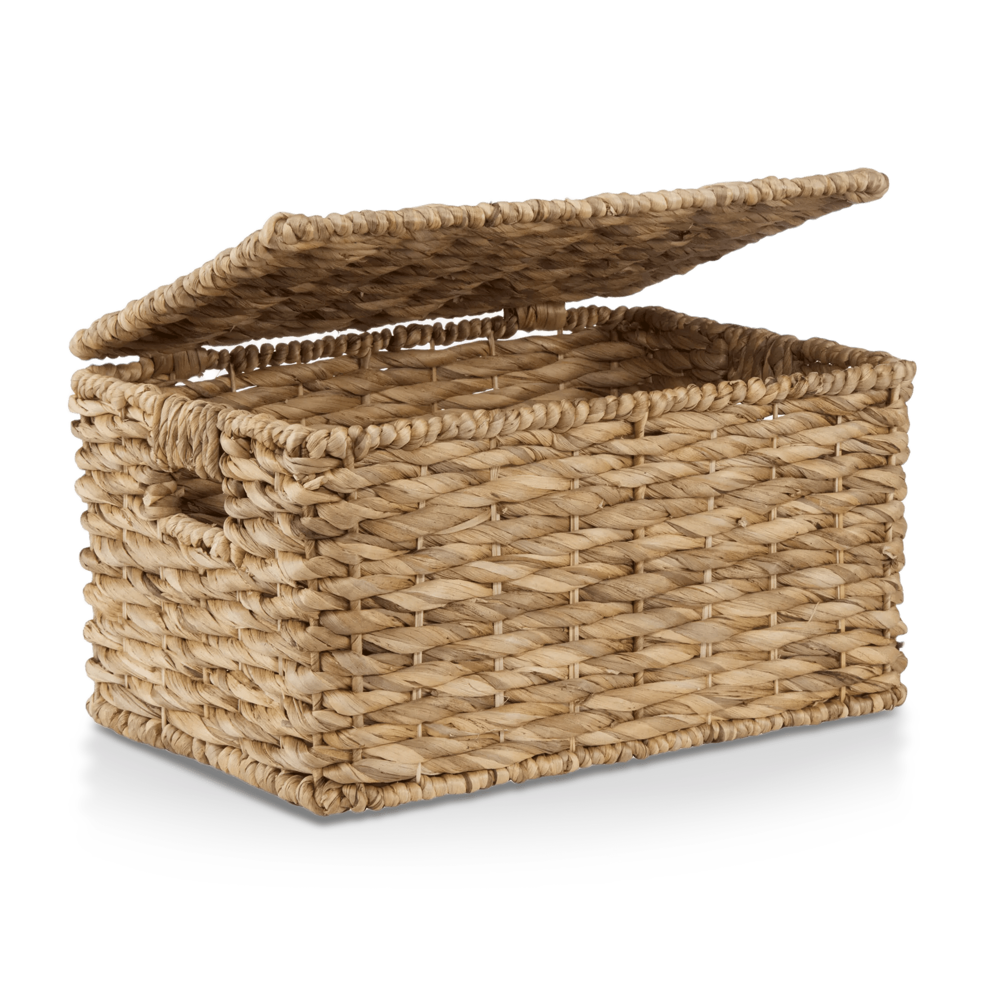 Water Hyacinth Storage Trunk