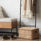 Water Hyacinth Storage Trunk