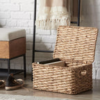 Water Hyacinth Storage Trunk