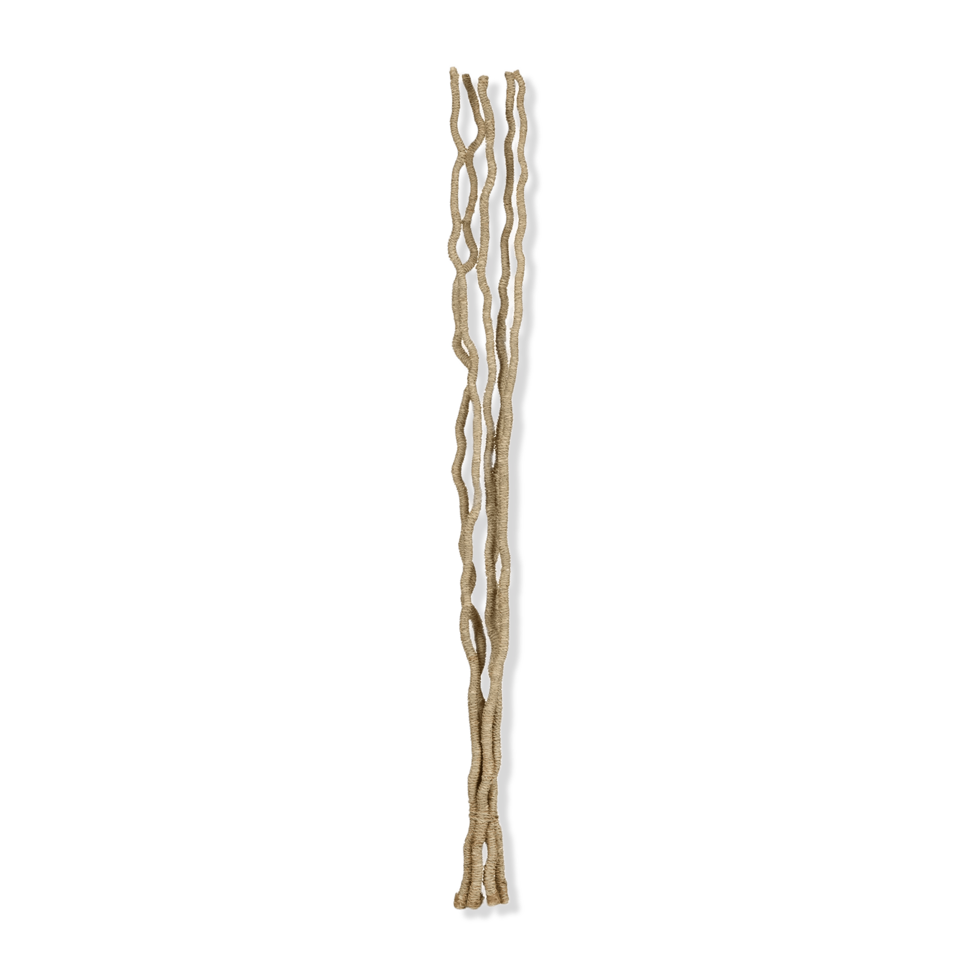 Bouquet of 5 Seagrass Stems