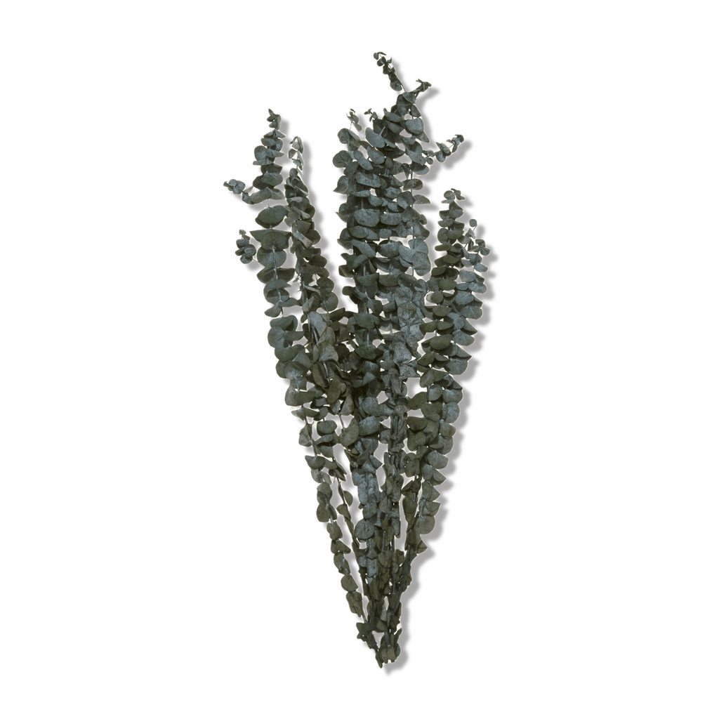 Dried Eucalyptus Bouquet