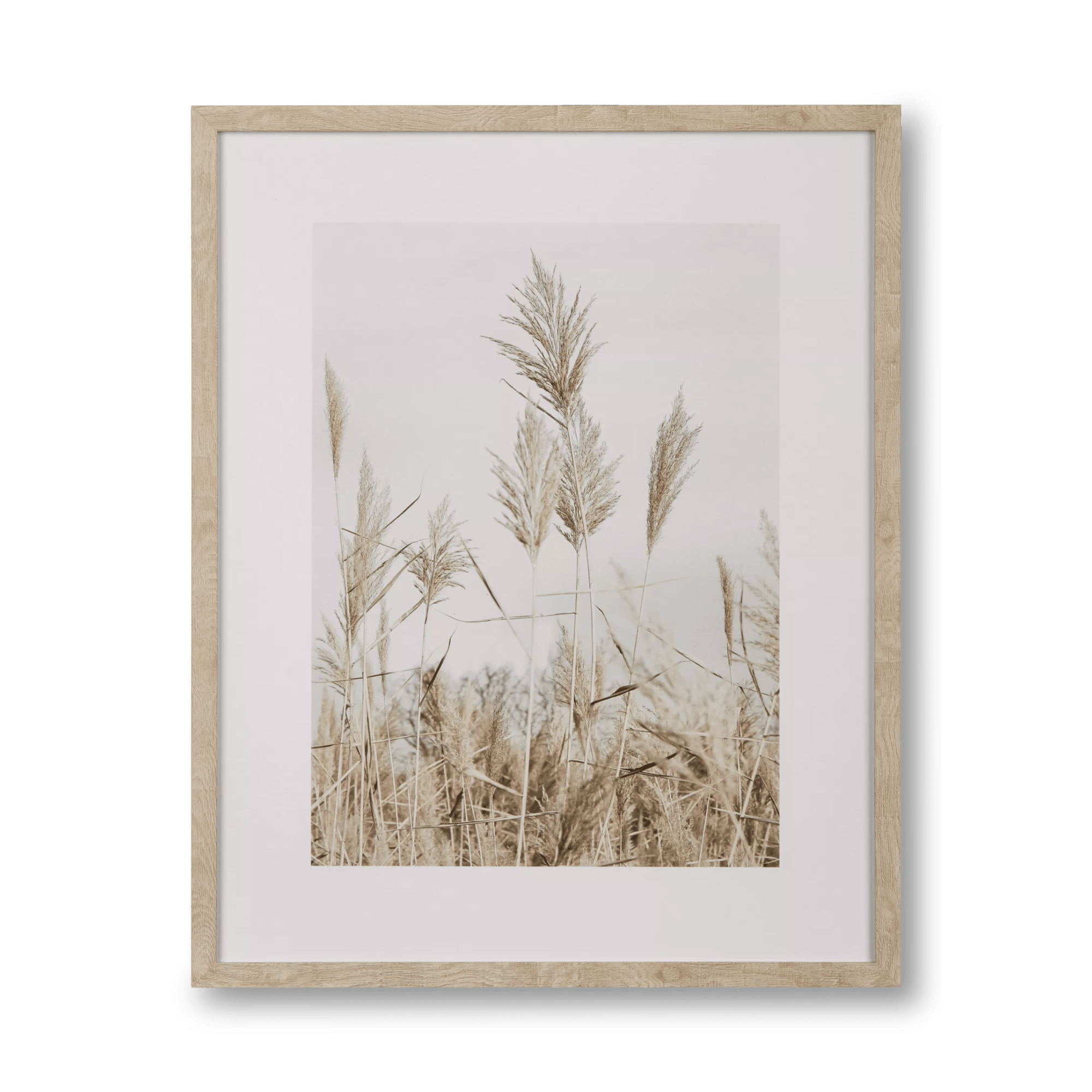 Pampas on Beach Framed Canvas