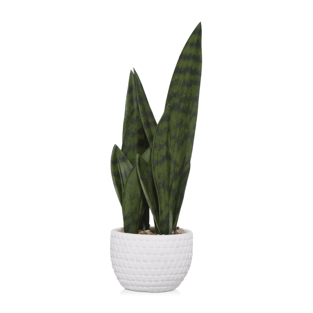Faux Rattan Ceramic Pot with Artificial Plant