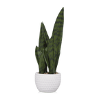 Faux Rattan Ceramic Pot with Artificial Plant