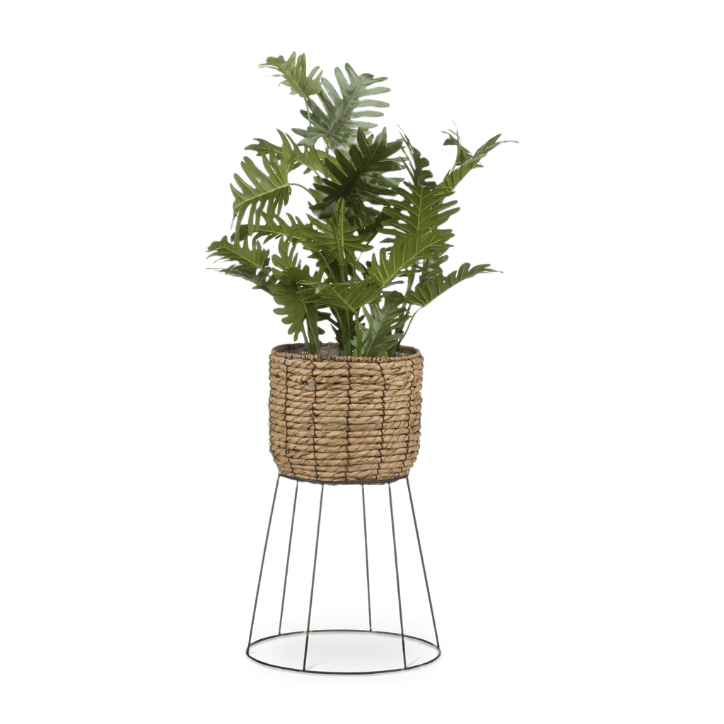 Natural Rattan Planter on Metal Legs