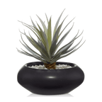 Ceramic Potted Greenery