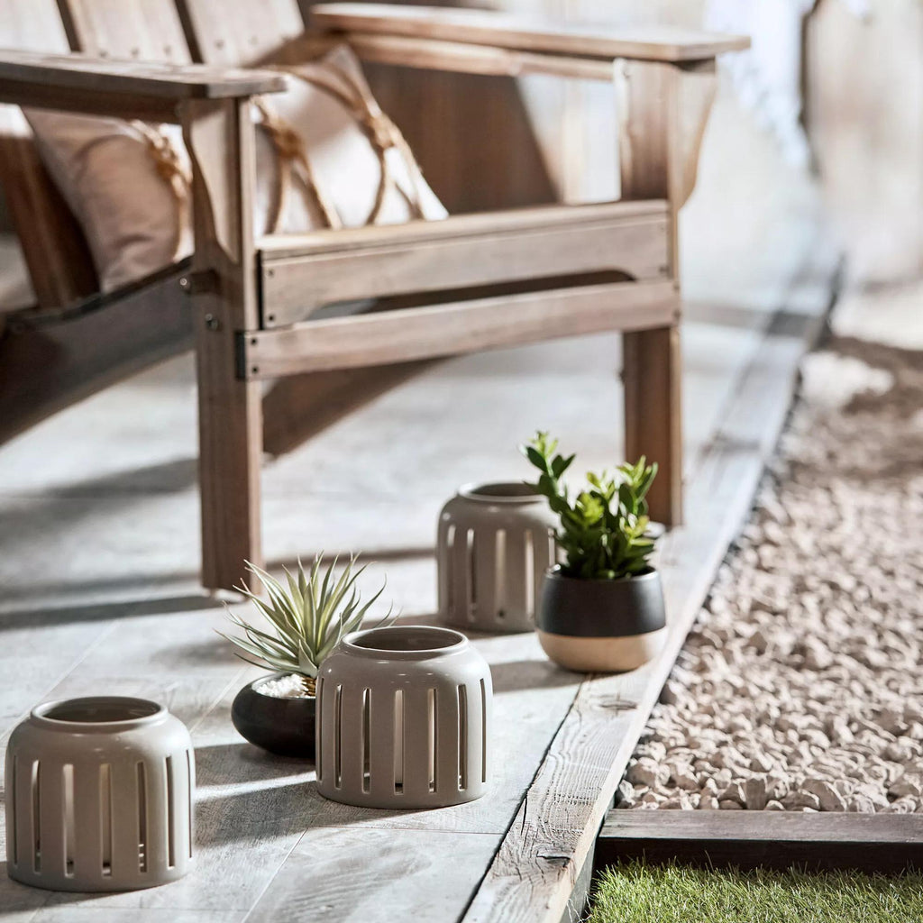 Ceramic Potted Greenery