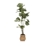 Large Fiddle-Leaf Fig Potted Floor Plant