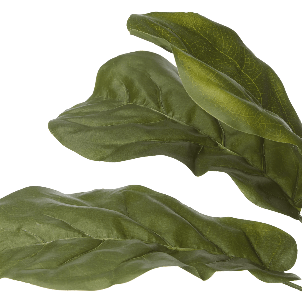 Large Fiddle-Leaf Fig Potted Floor Plant