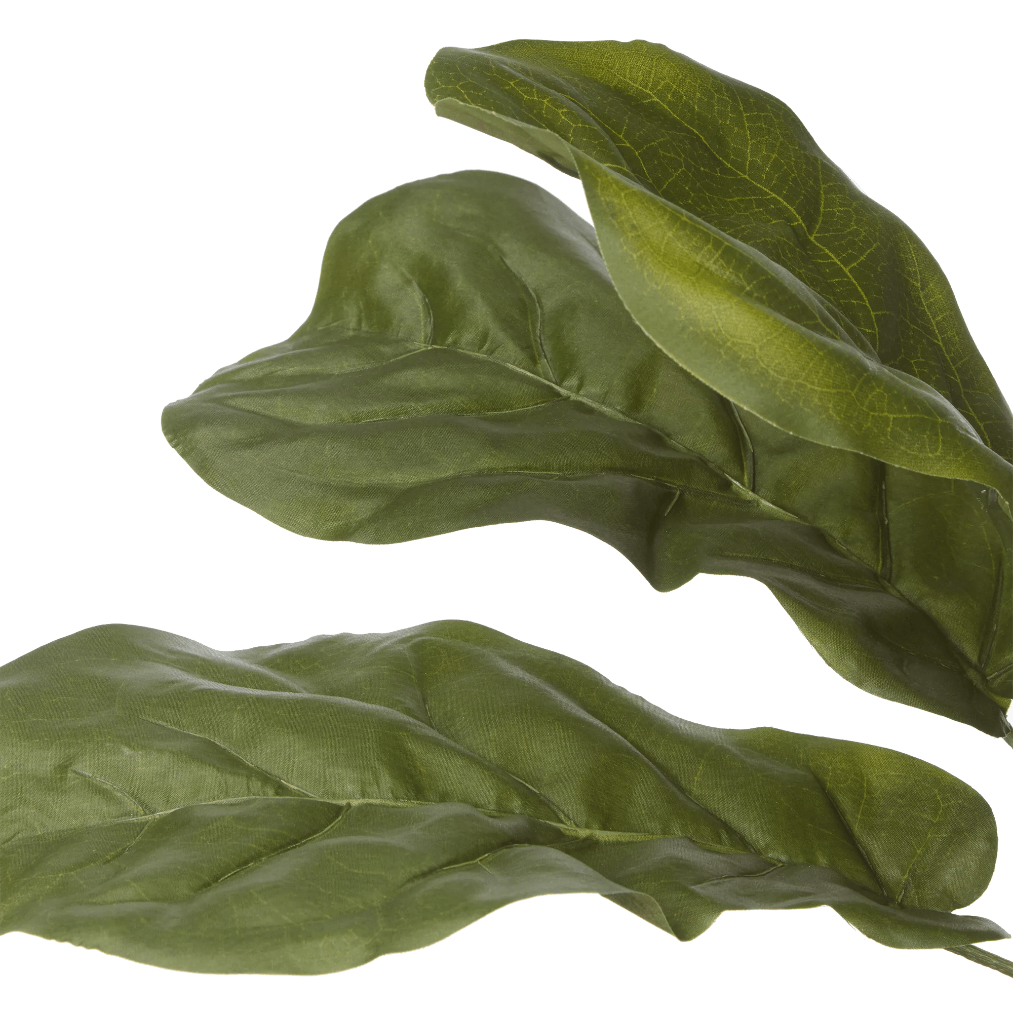 Large Fiddle-Leaf Fig Potted Floor Plant