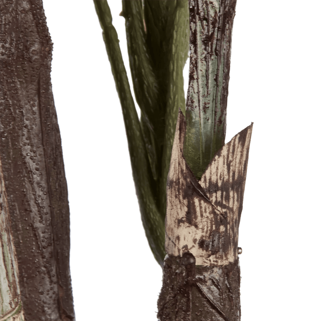 Large Fiddle-Leaf Fig Potted Floor Plant