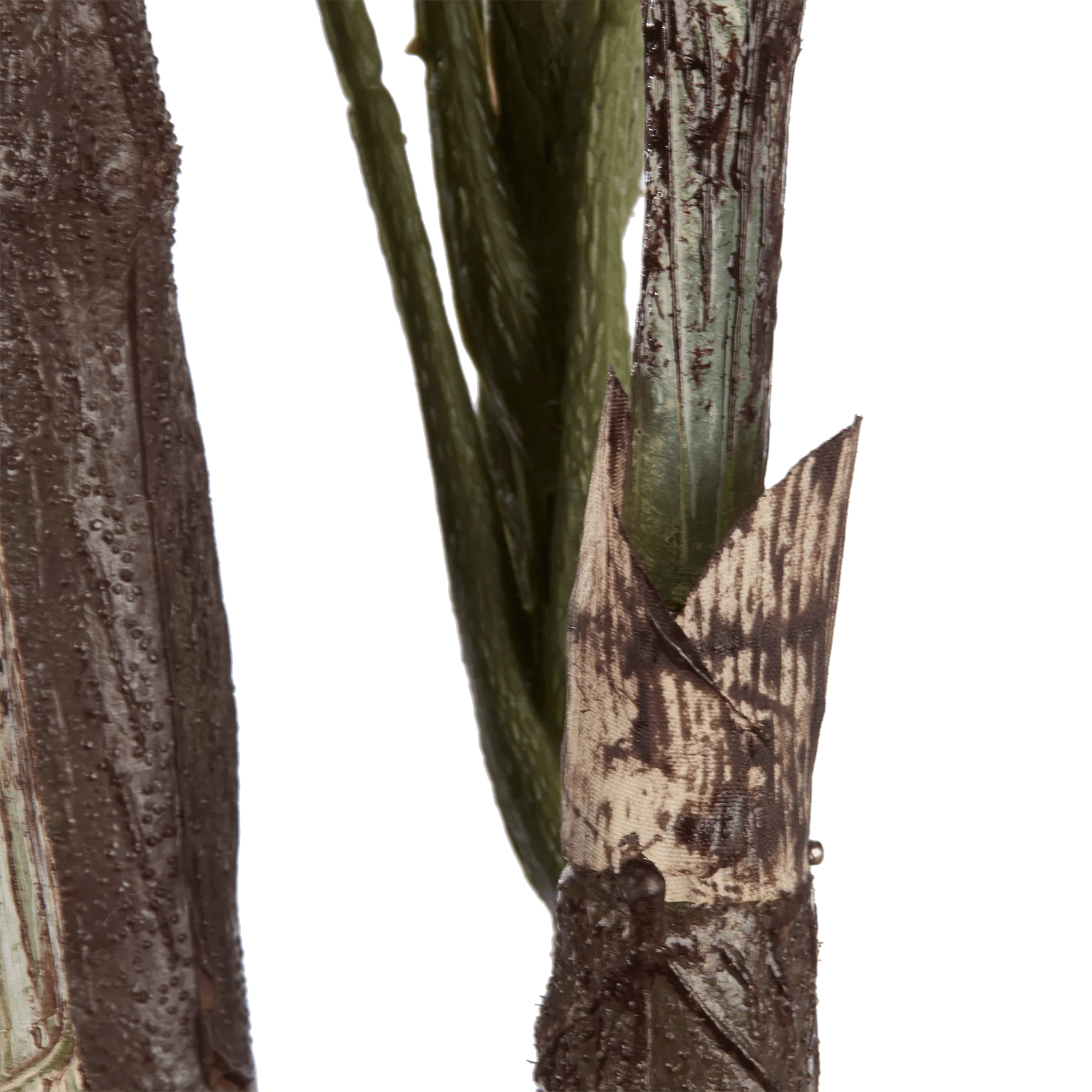 Large Fiddle-Leaf Fig Potted Floor Plant