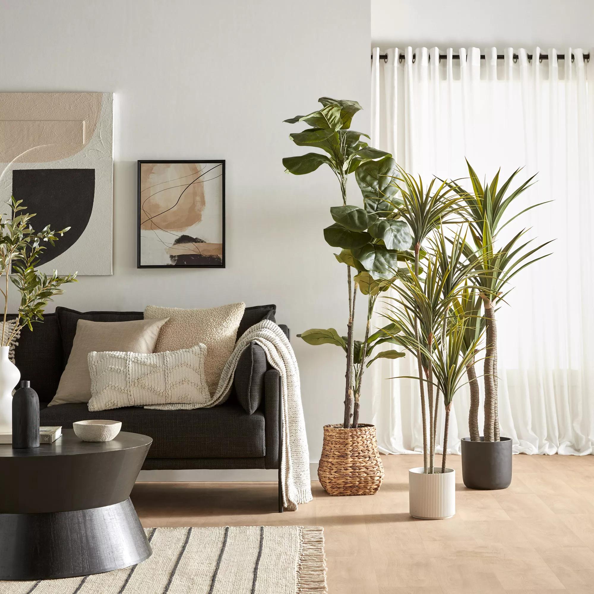 Large Fiddle-Leaf Fig Potted Floor Plant