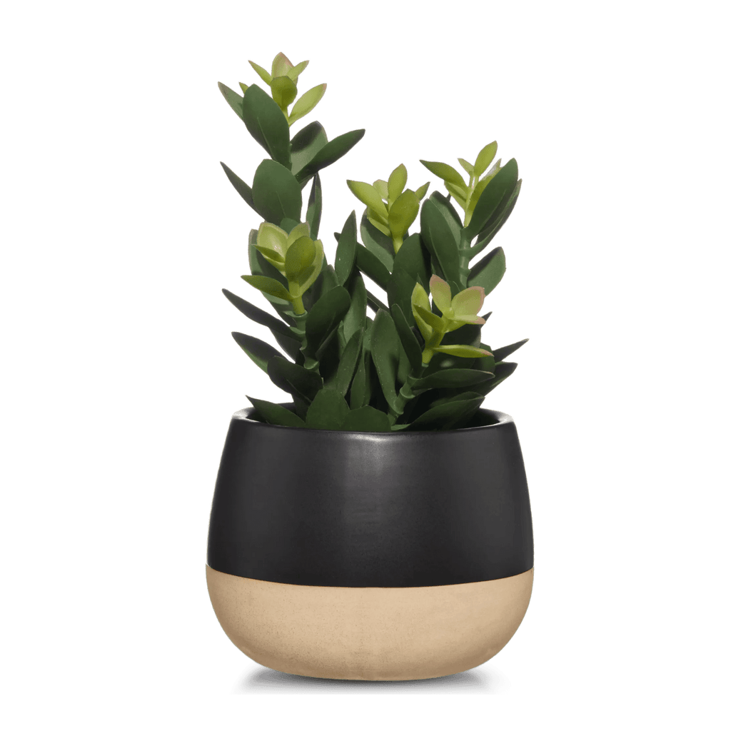 Artificial Plant in Colour-Block Pot