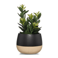 Artificial Plant in Colour-Block Pot