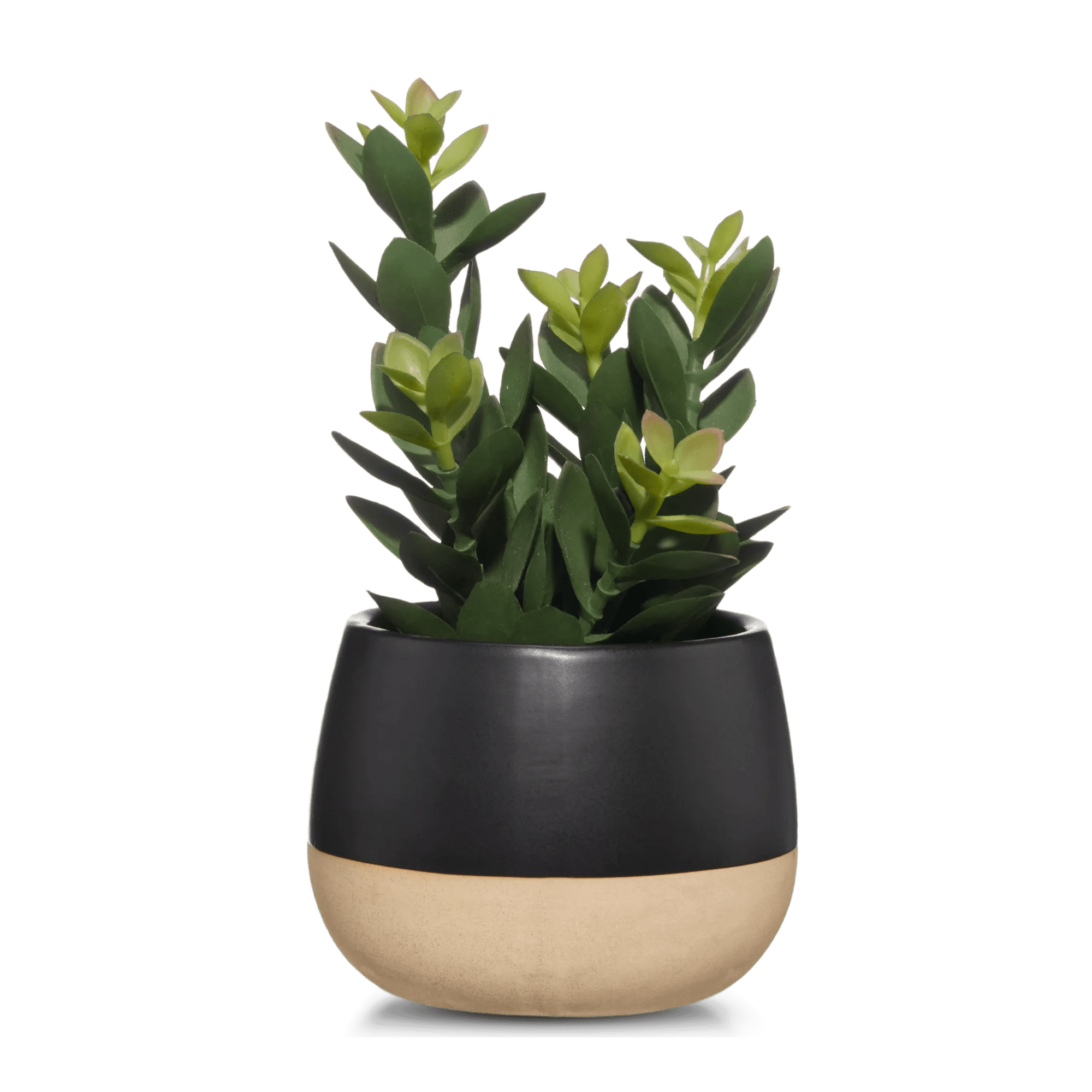 Artificial Plant in Colour-Block Pot