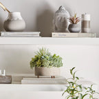 Mixed Artificial Agave in Cement Planter