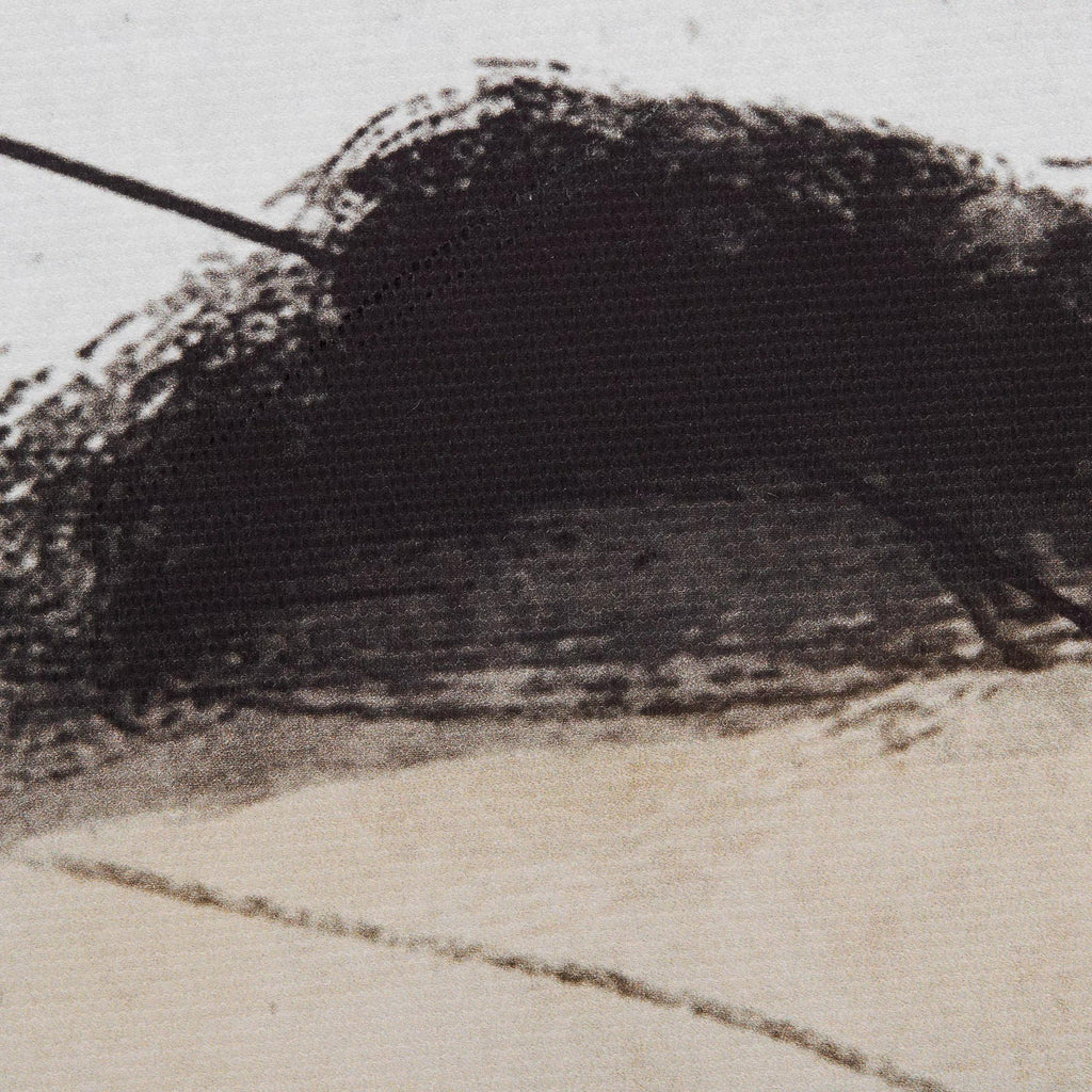 Abstract Blush Wave Framed Canvas