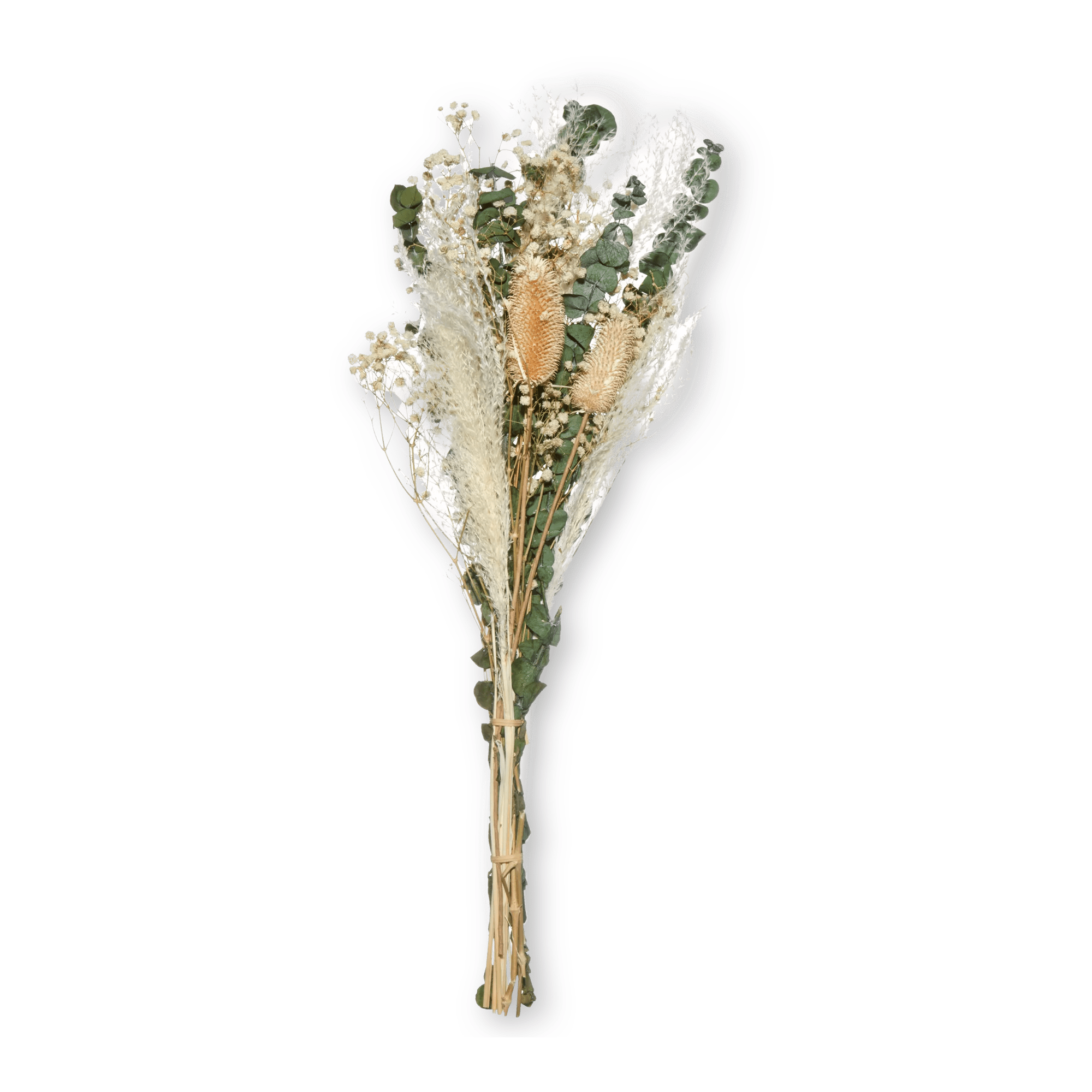 Dried Pampas and Eucalyptus Bouquet