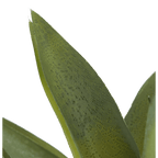 Artificial Cast-Iron Plant in White Speckled Pot