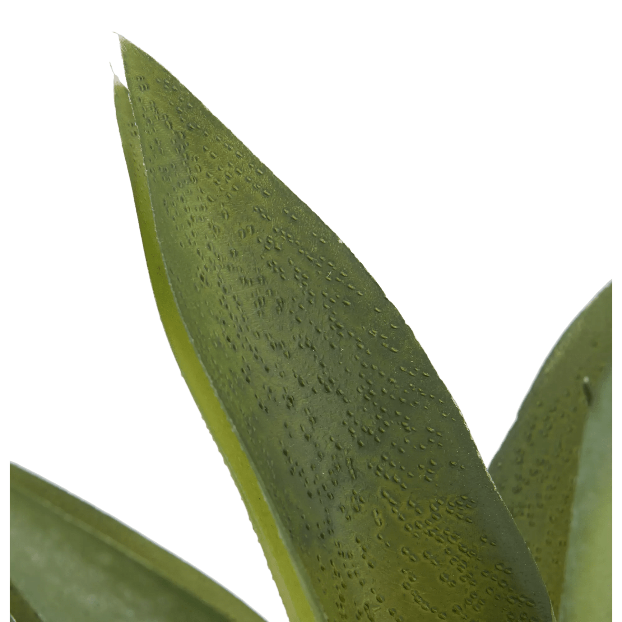 Artificial Cast-Iron Plant in White Speckled Pot