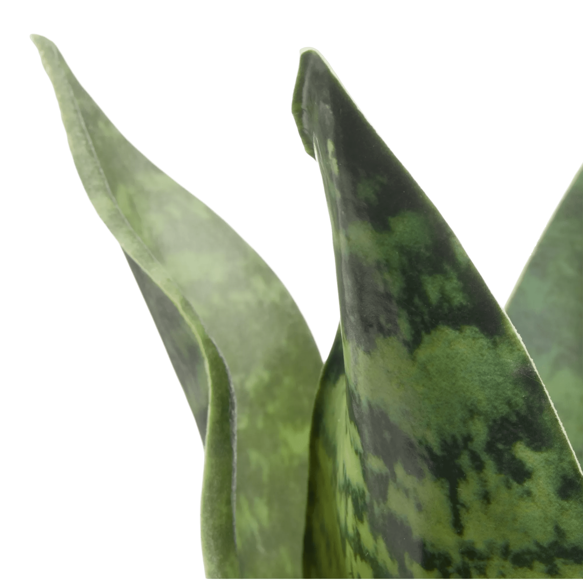 Artificial Plant in Black Matte Ceramic Pot