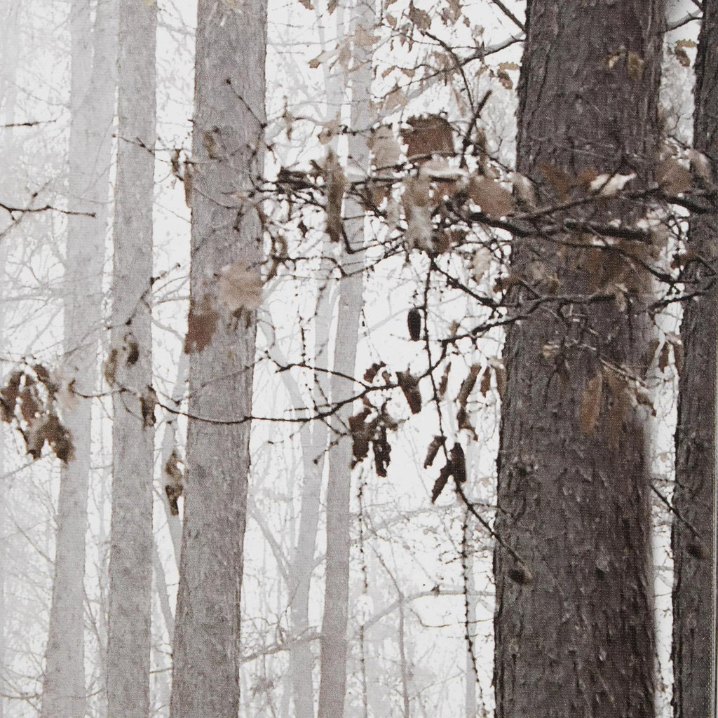 Fall Passage Printed Canvas