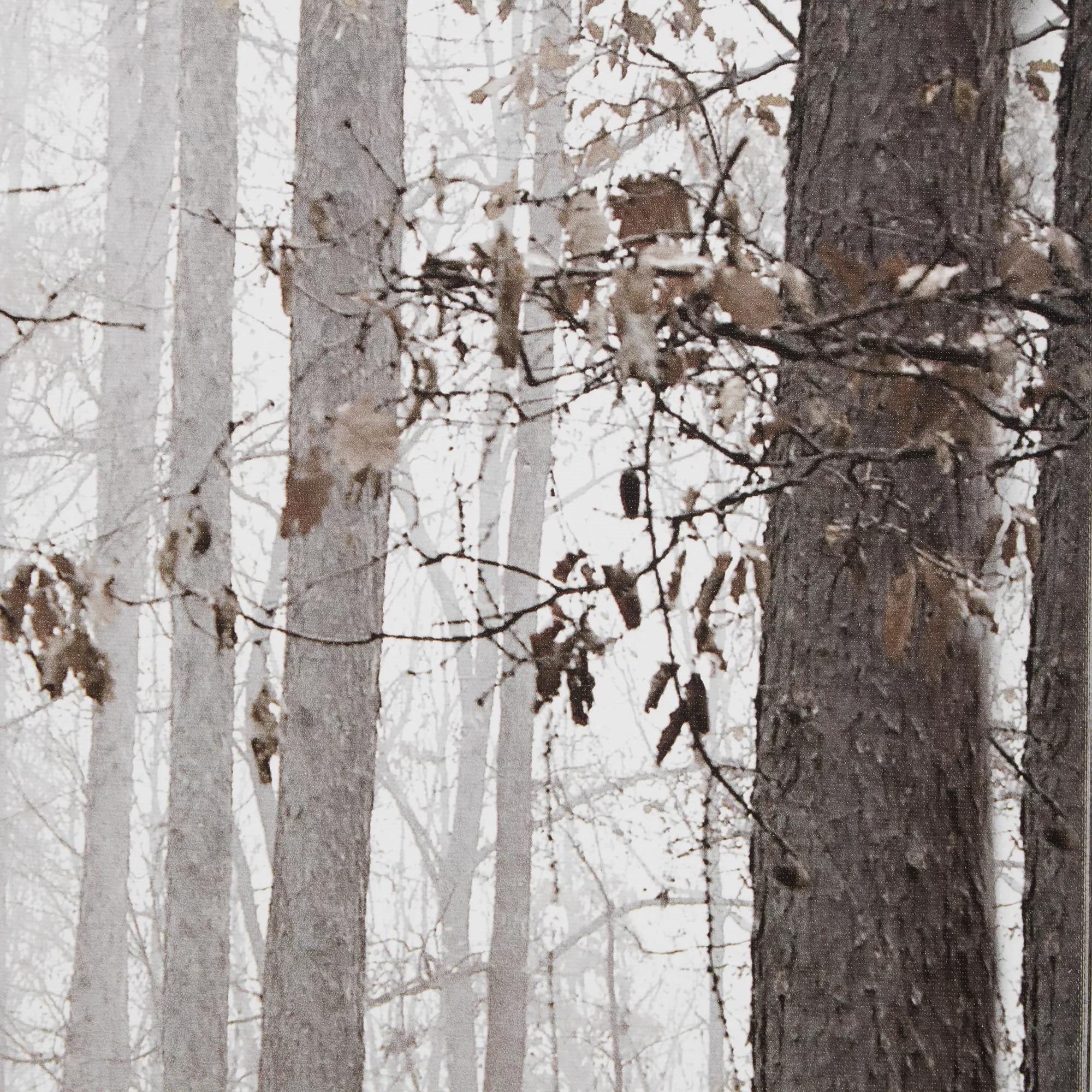 Fall Passage Printed Canvas