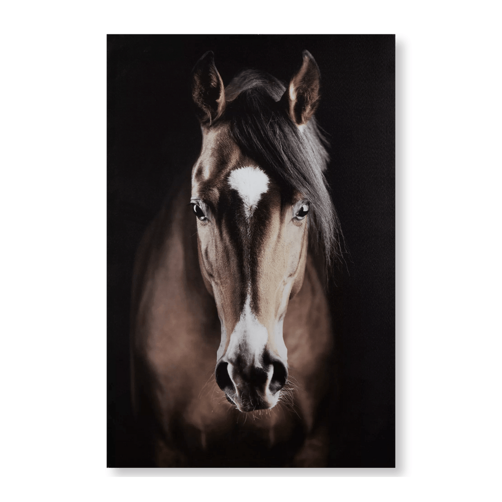 Brown Horse Printed Canvas