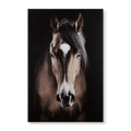 Brown Horse Printed Canvas