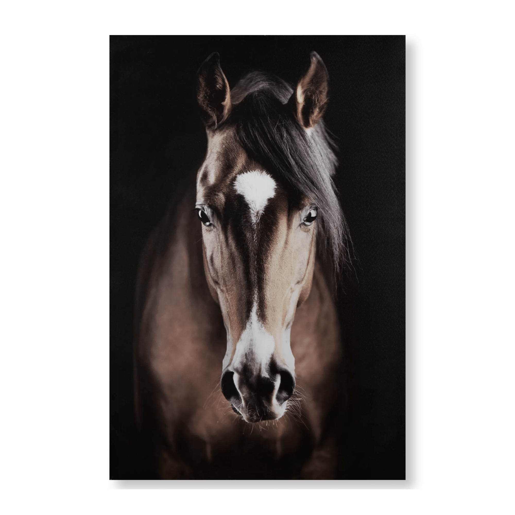 Brown Horse Printed Canvas