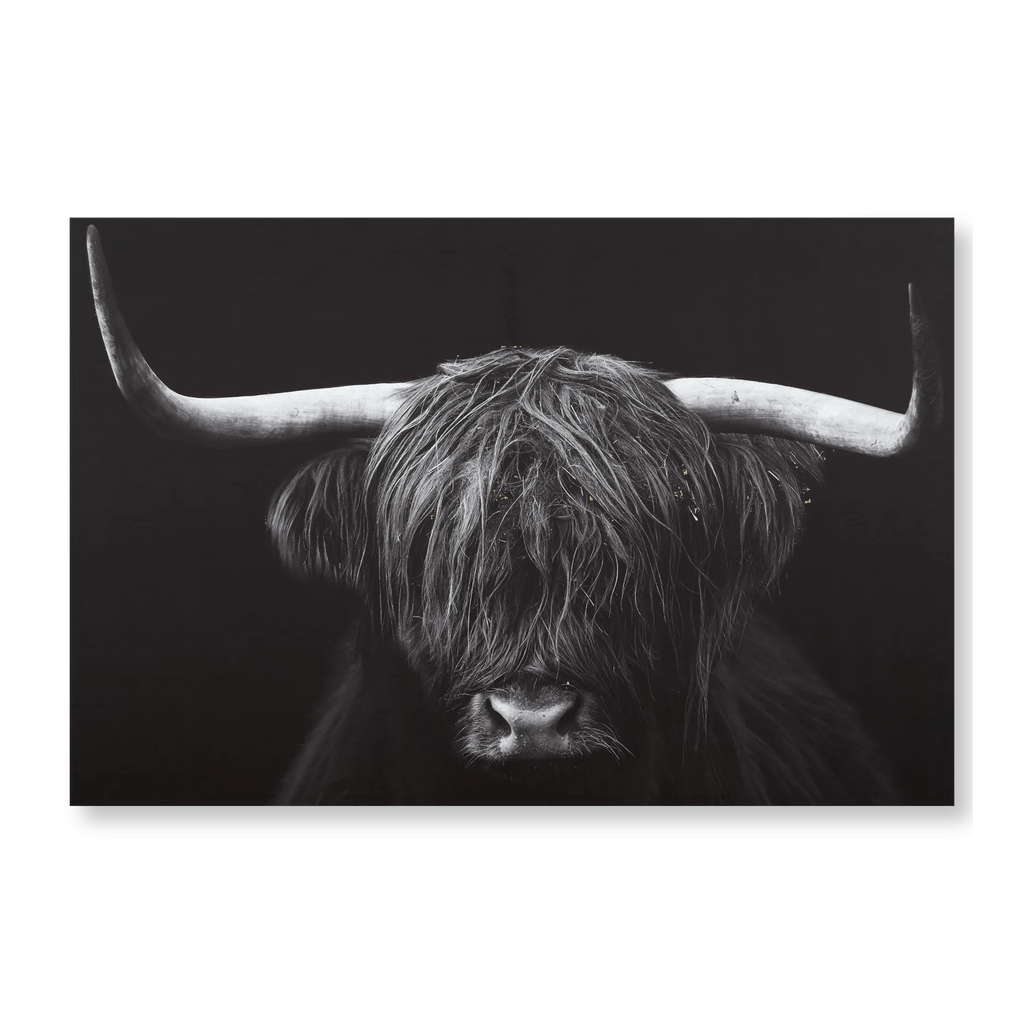 Black & White Highland Cow Printed Canvas