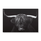 Black & White Highland Cow Printed Canvas