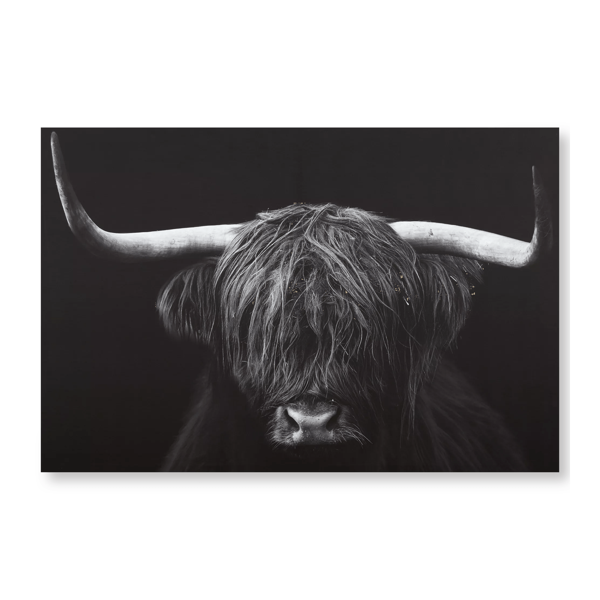 Black & White Highland Cow Printed Canvas
