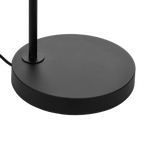 Floor Lamp with Rattan Shade and Metal Base