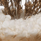 Dried Flowers Glass Dome