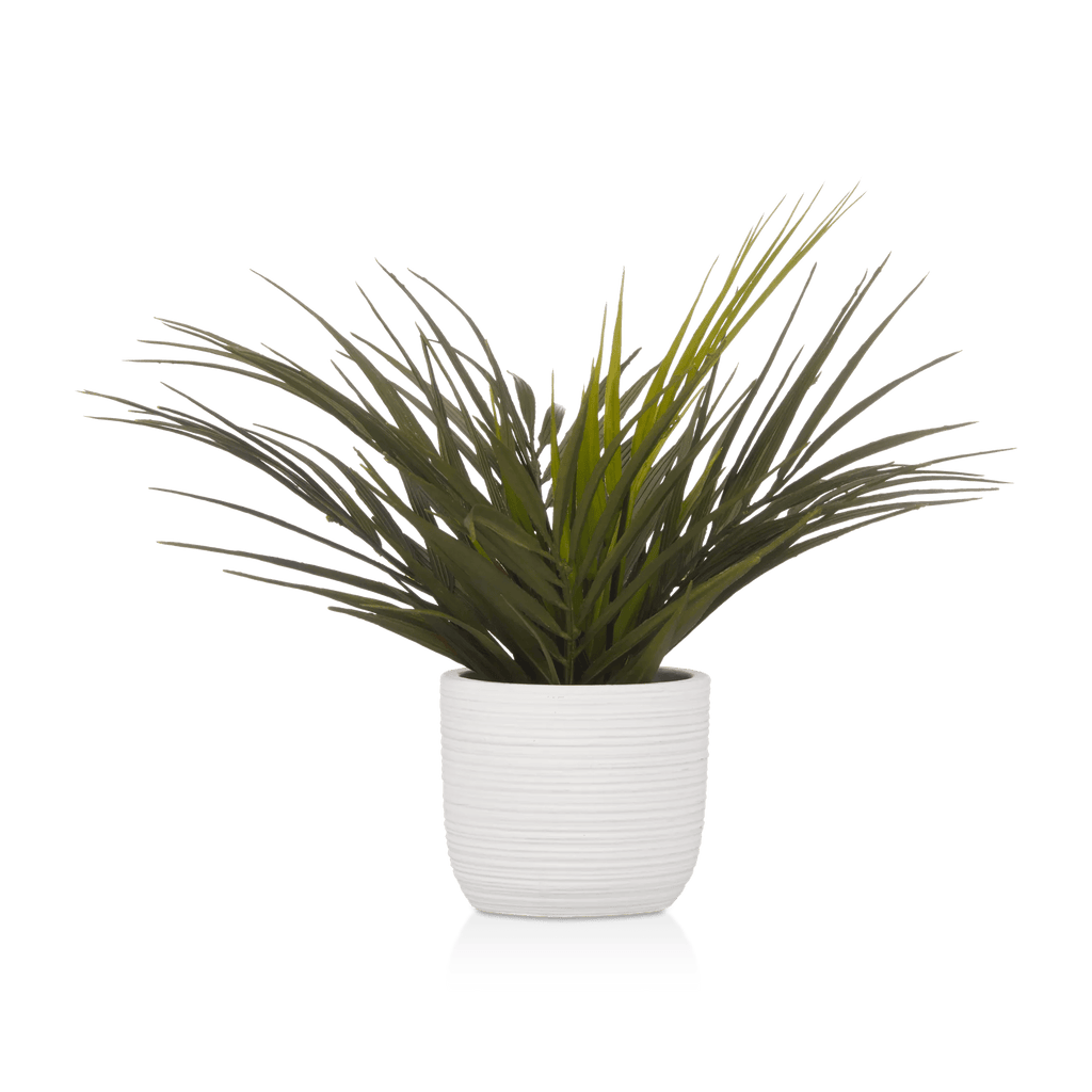 Textured Ceramic Potted Tropical Plant