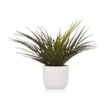 Textured Ceramic Potted Tropical Plant