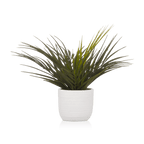 Textured Ceramic Potted Tropical Plant