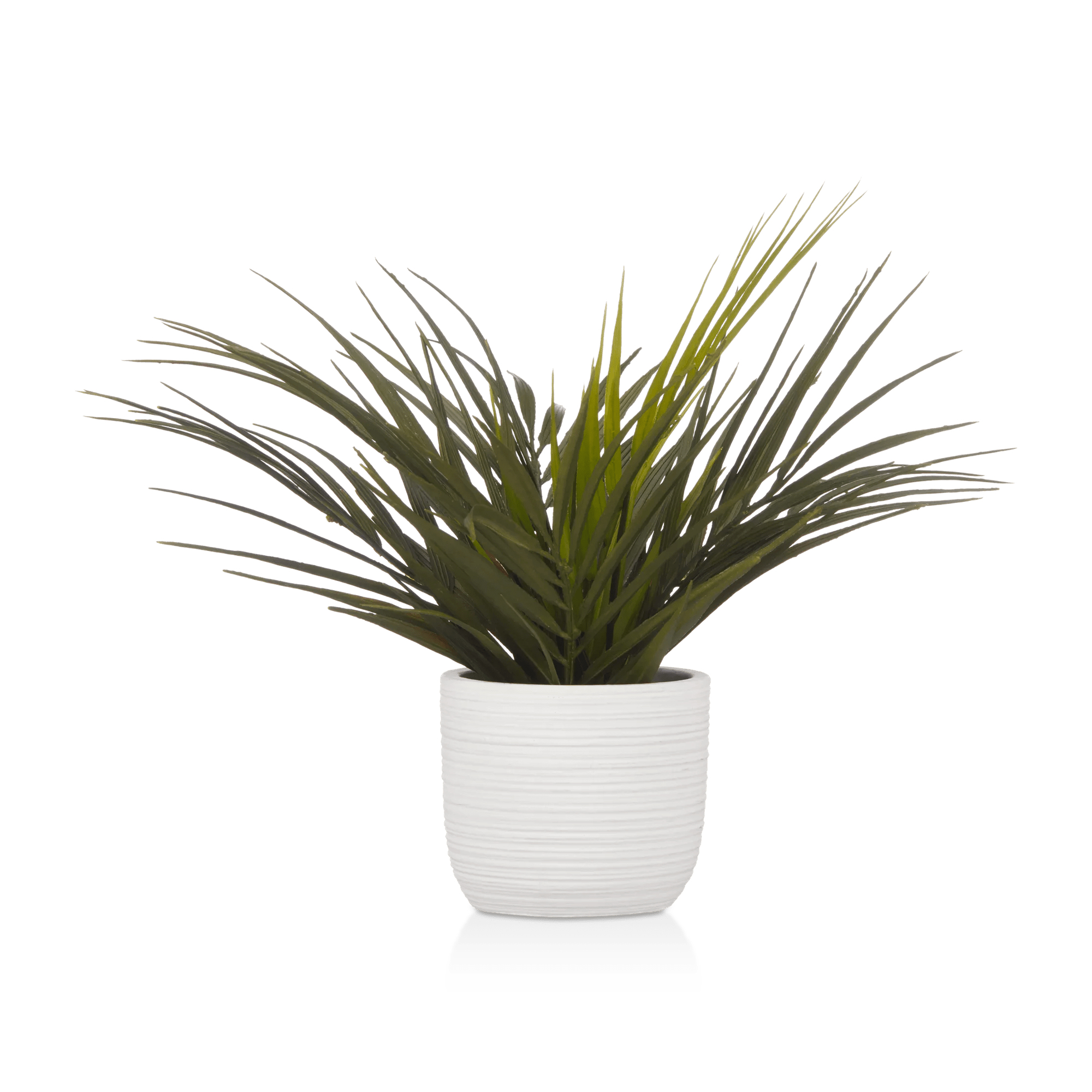 Textured Ceramic Potted Tropical Plant