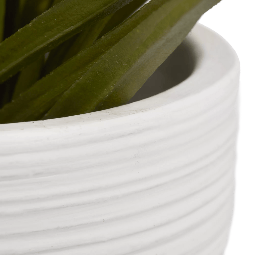 Textured Ceramic Potted Tropical Plant