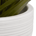 Textured Ceramic Potted Tropical Plant