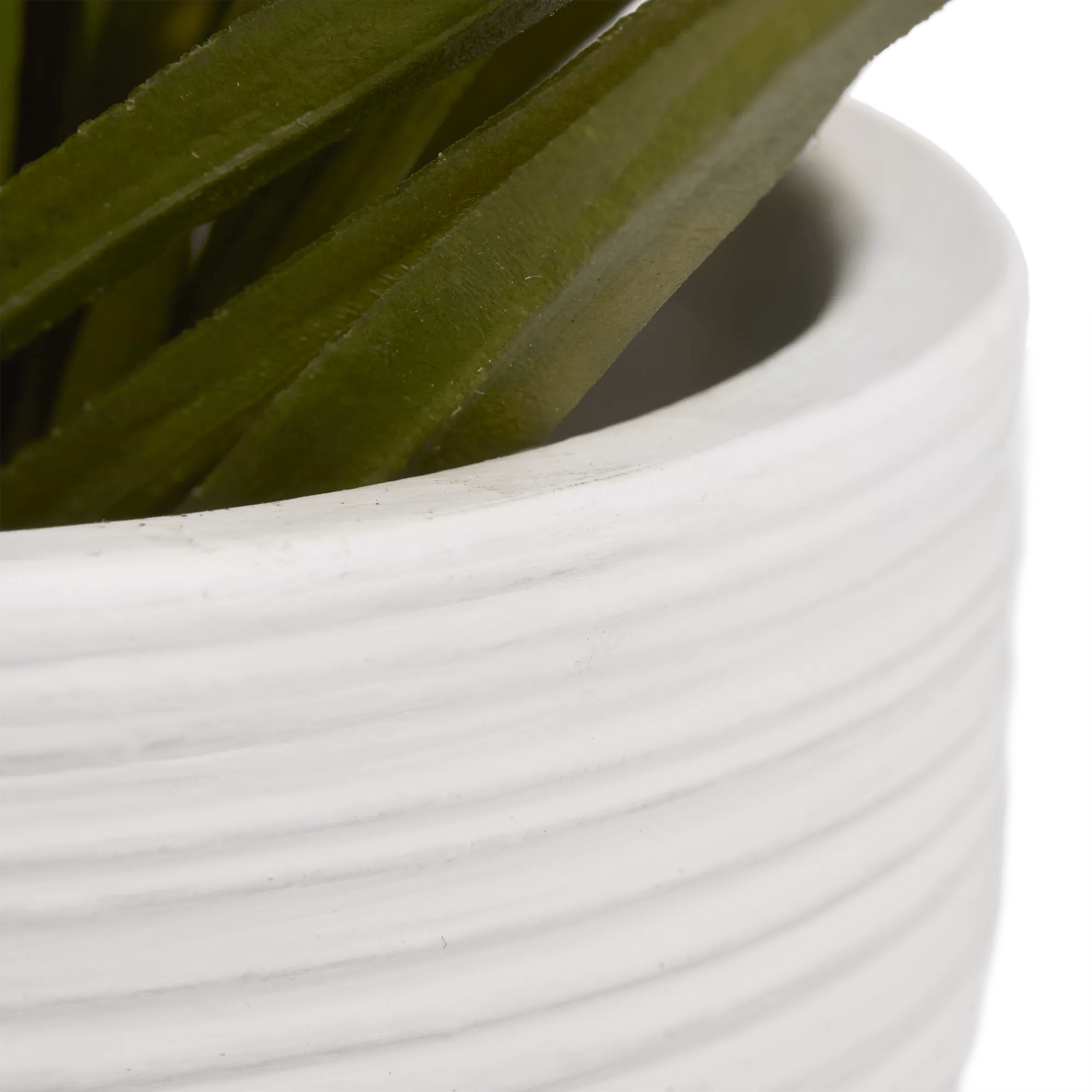 Textured Ceramic Potted Tropical Plant