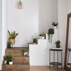 Waterfall Eucalyptus in Black Pot