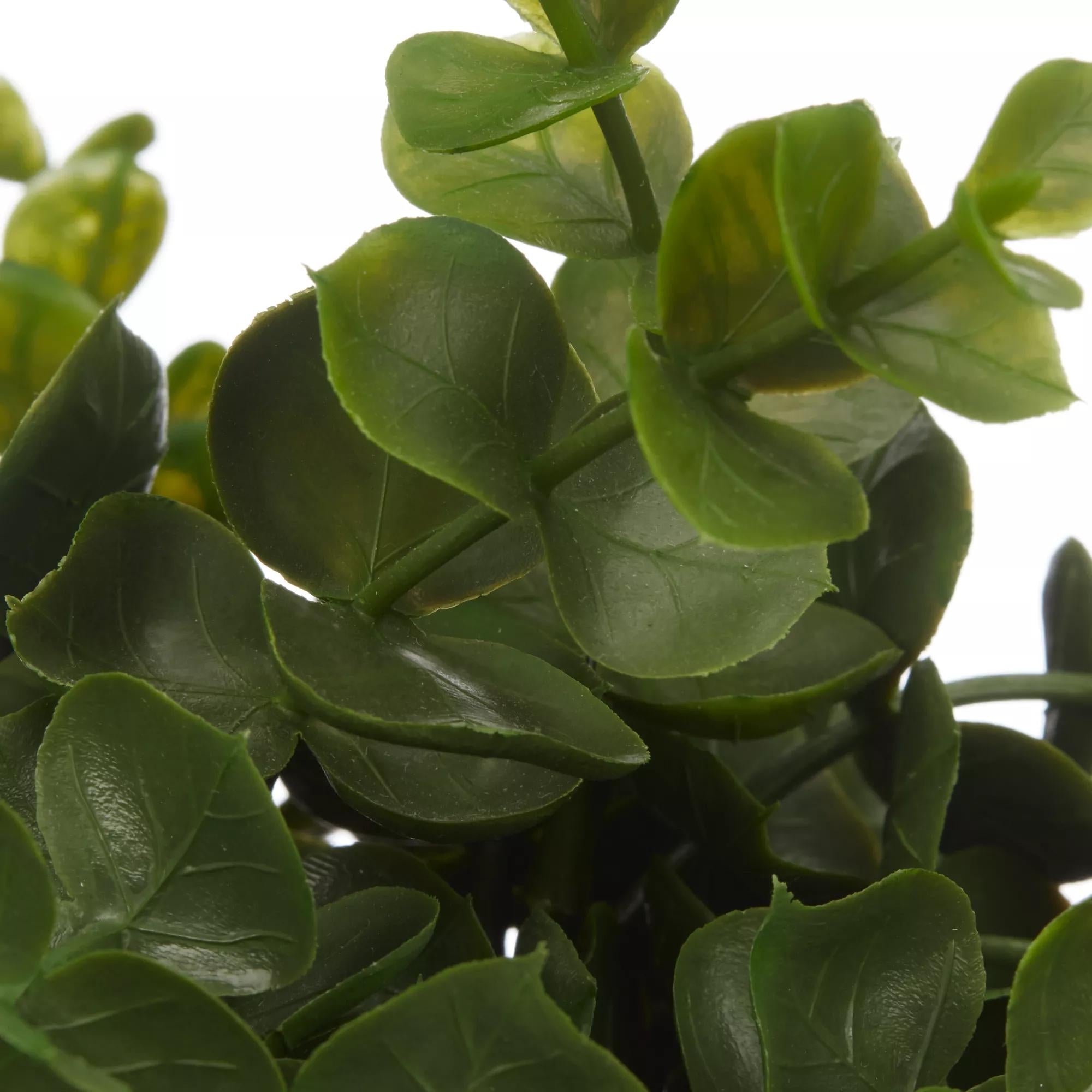 Waterfall Eucalyptus in White Hourglass Pot