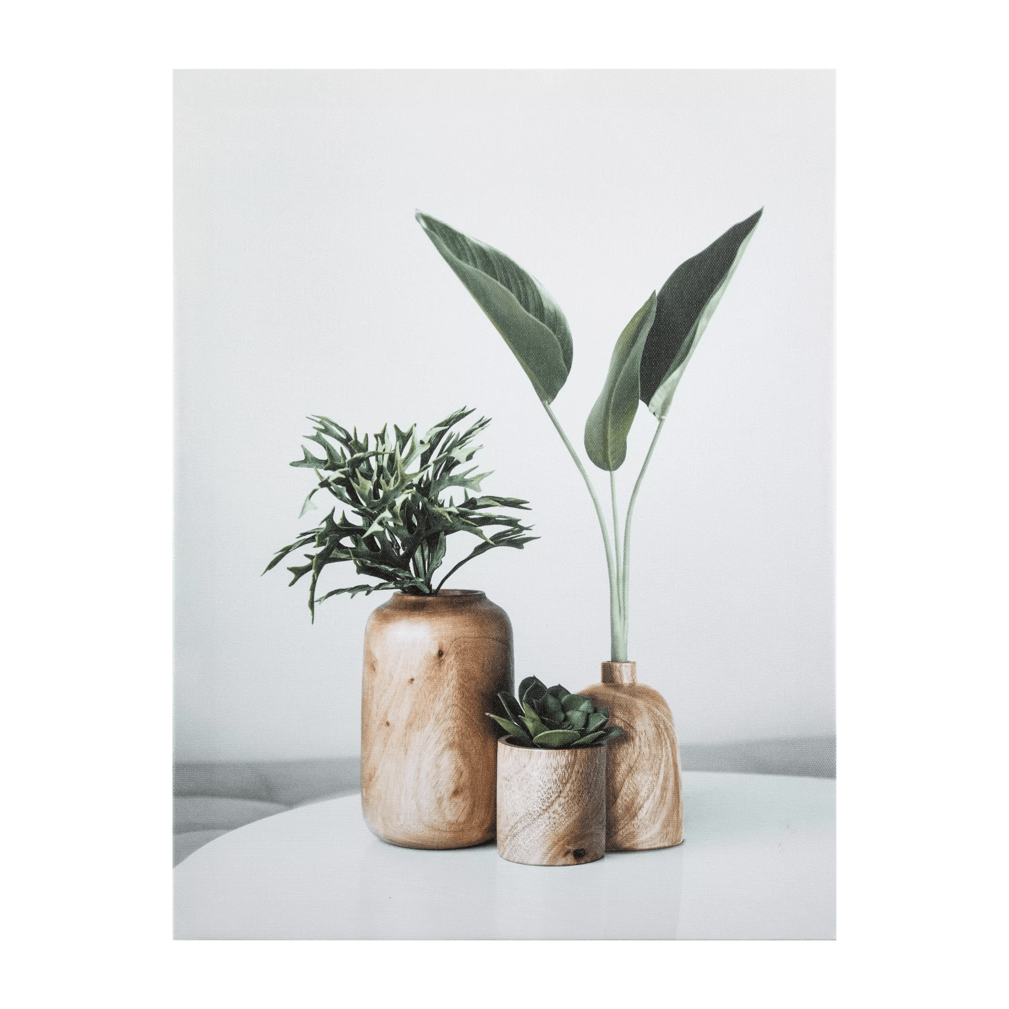 Succulents in Wood Vases Printed Canvas