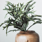 Succulents in Wood Vases Printed Canvas