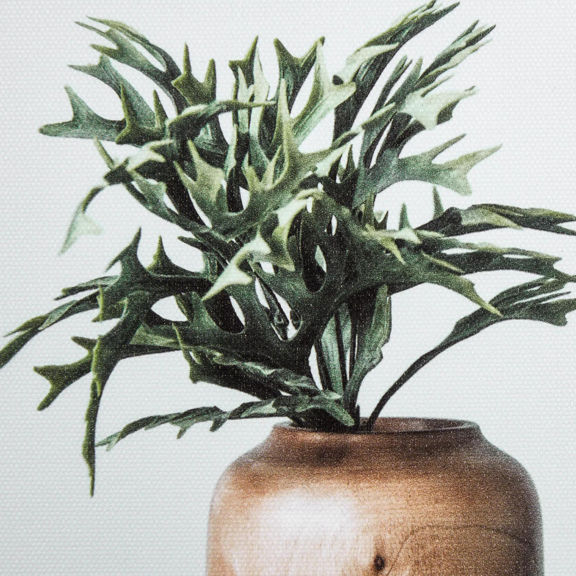 Succulents in Wood Vases Printed Canvas